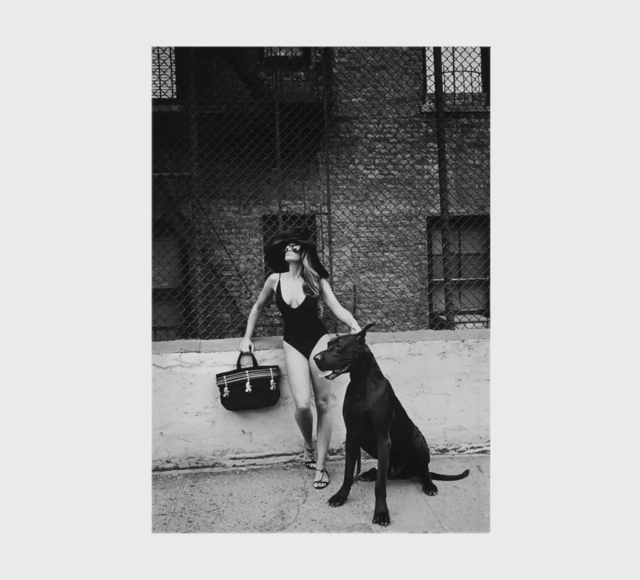 Cindys avec chien noir carnet de notes de Takeme