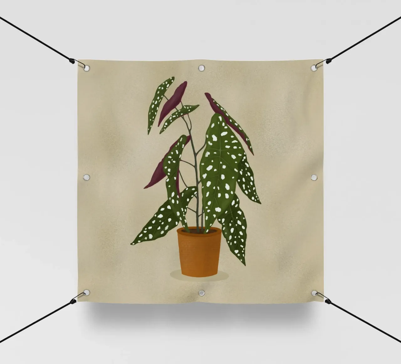 Begonia Maculata telo in pvc da Vivi Nicolin