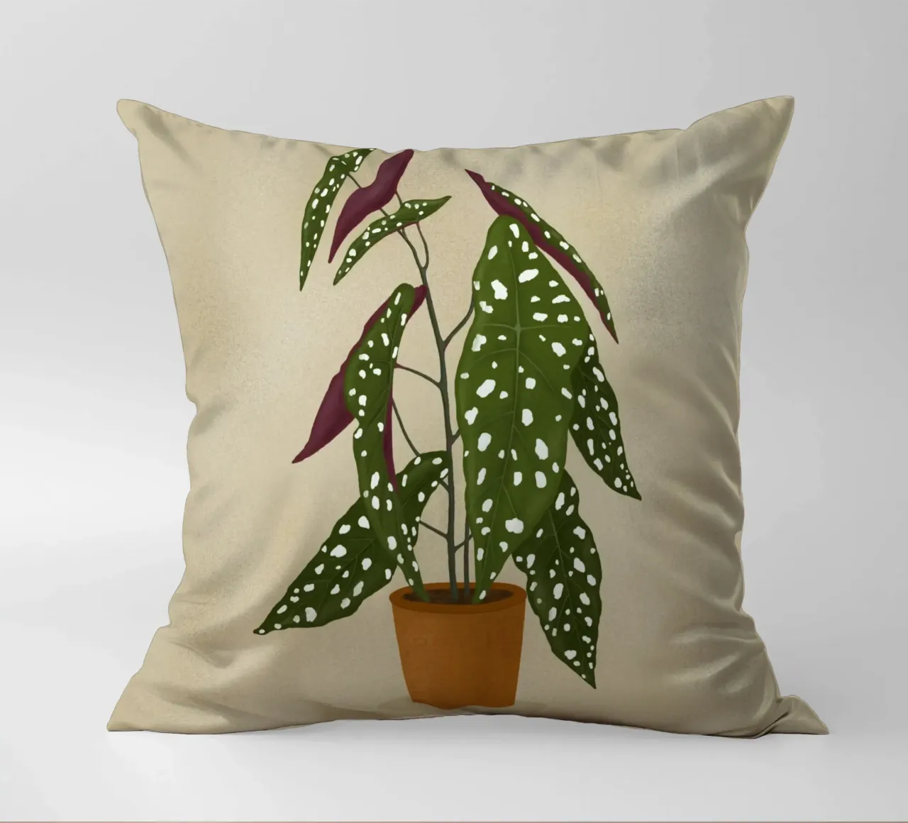 Begonia Maculata cuscino da Vivi Nicolin