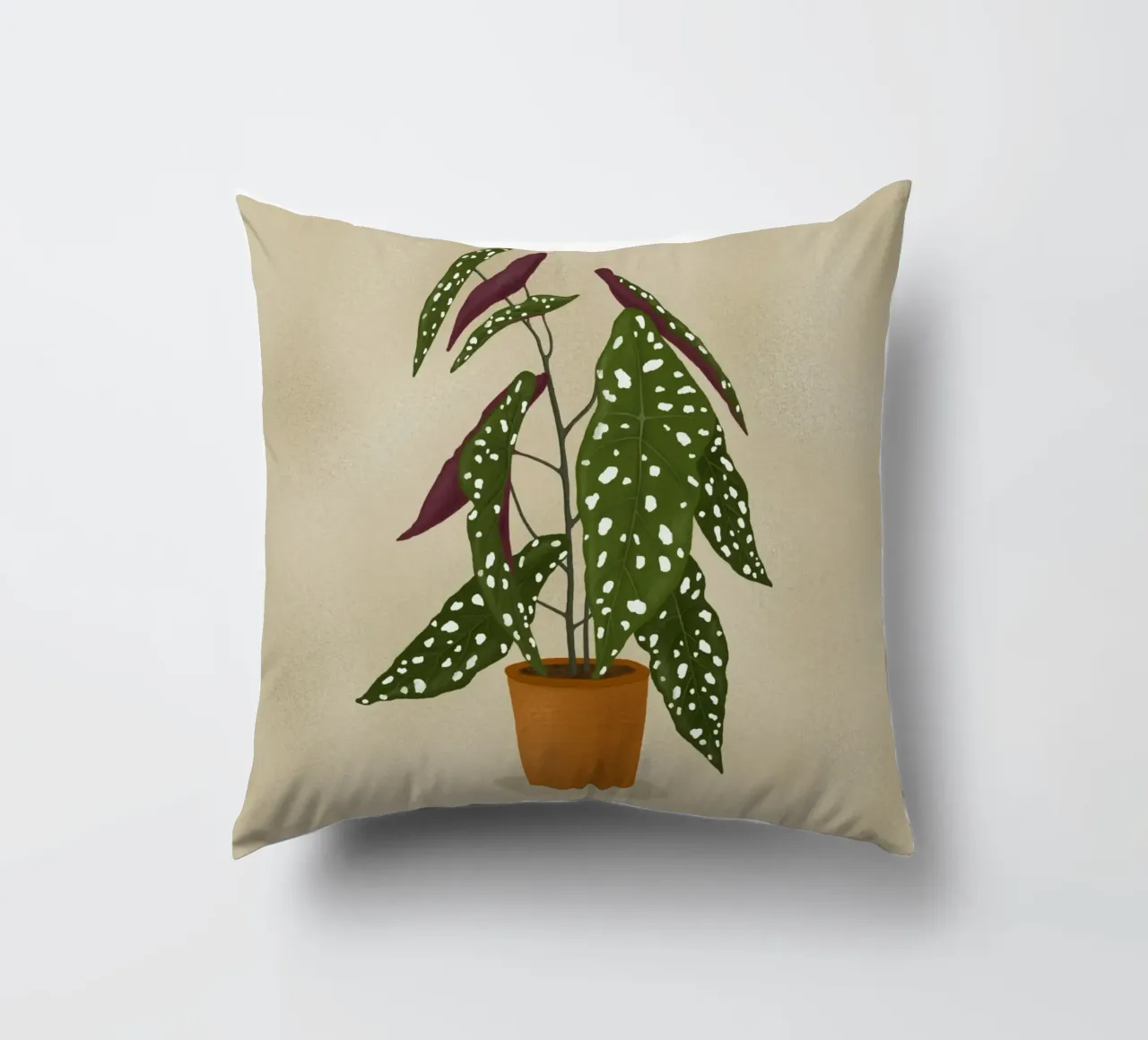 Begonia Maculata cuscino da Vivi Nicolin