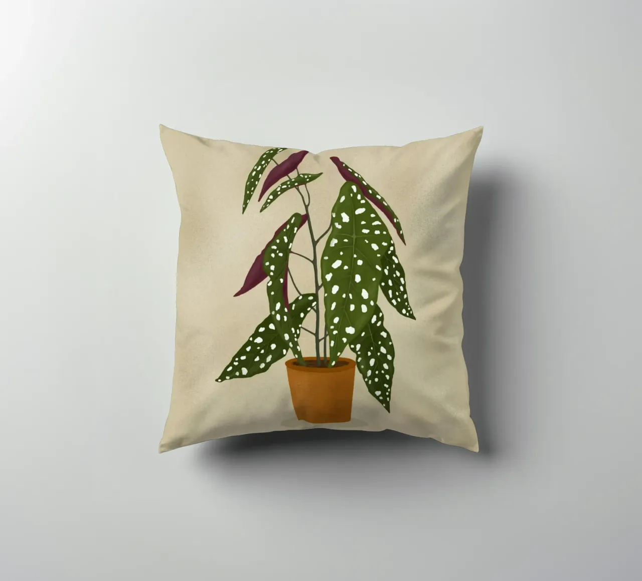 Begonia Maculata cuscino da Vivi Nicolin