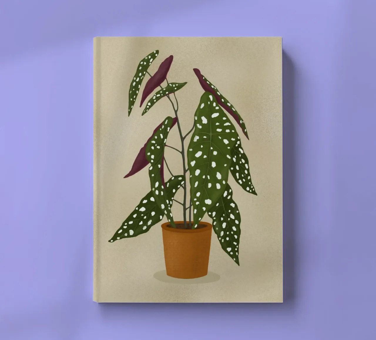 Begonia Maculata notebook by Vivi Nicolin