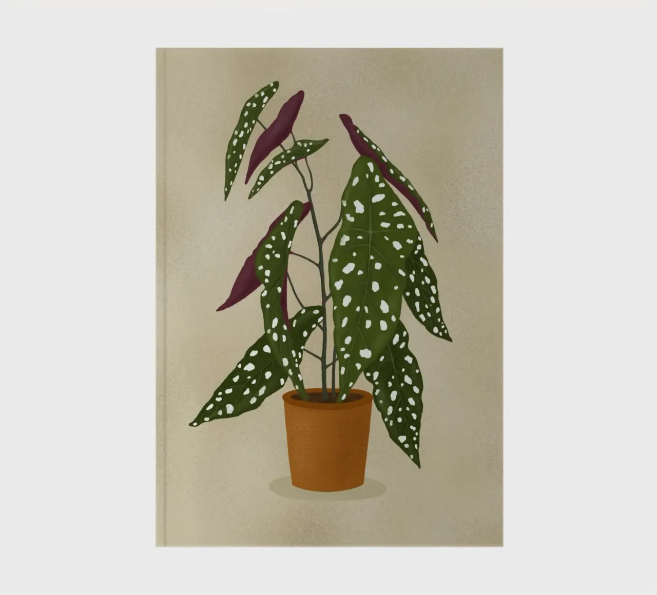 Begonia Maculata notebook by Vivi Nicolin