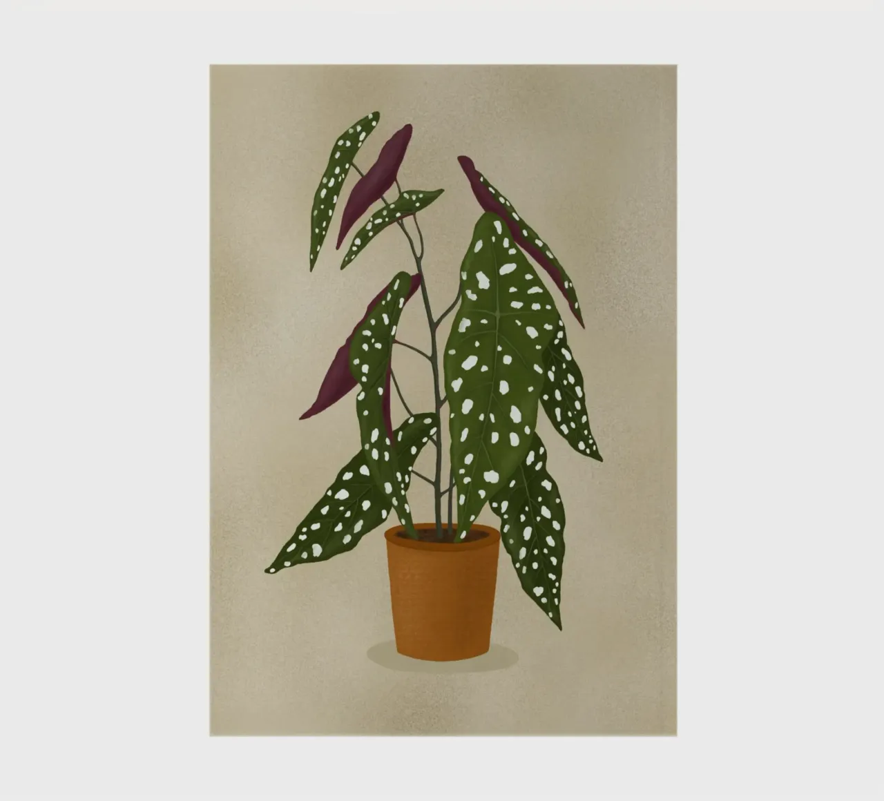 Begonia Maculata notebook by Vivi Nicolin