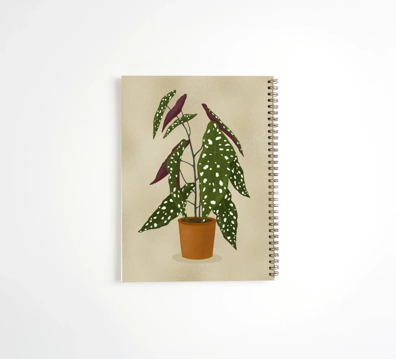 Begonia Maculata diario ad anelli da Vivi Nicolin