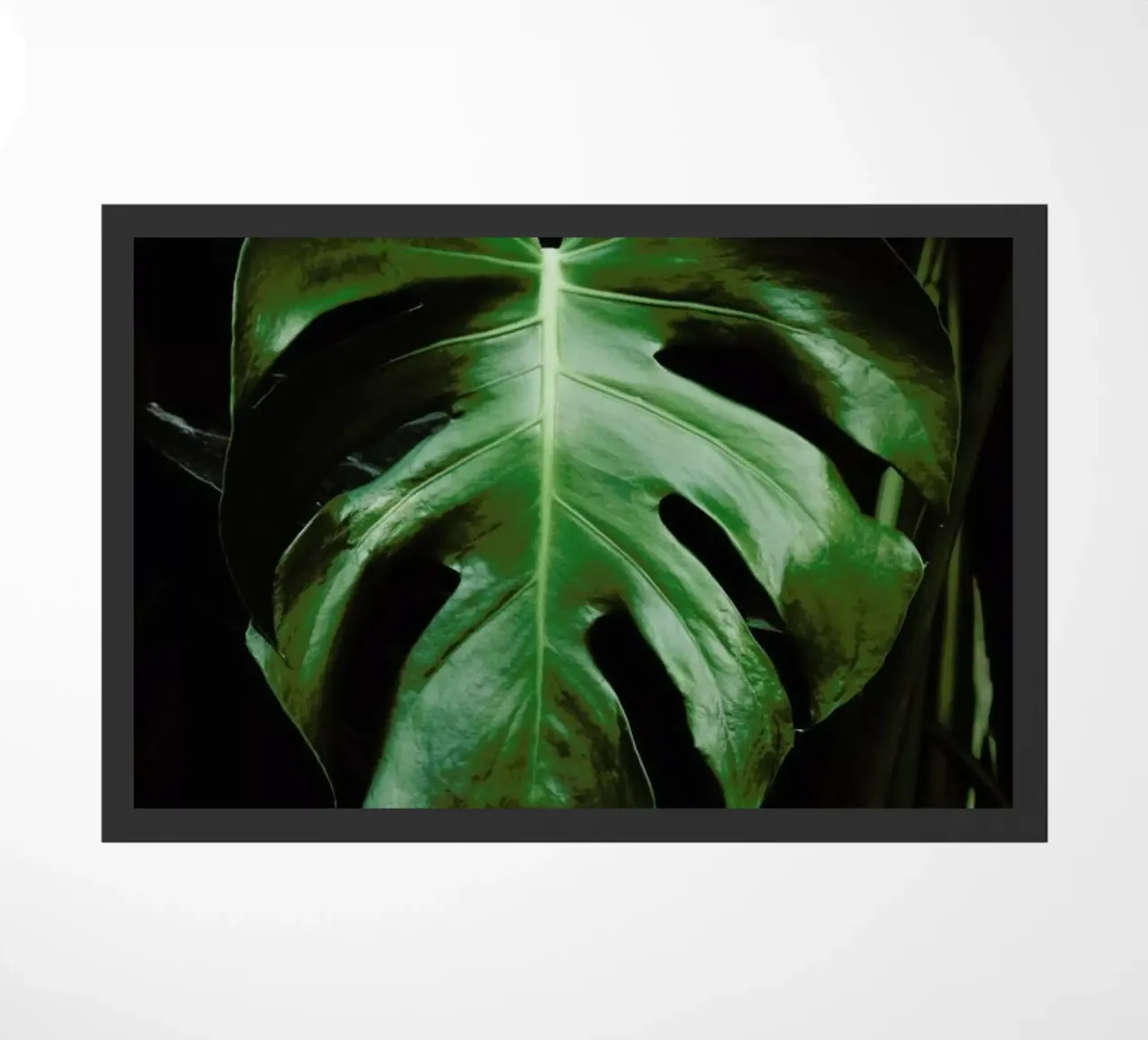Monstera Leaf doormat by Ingrid Beddoes