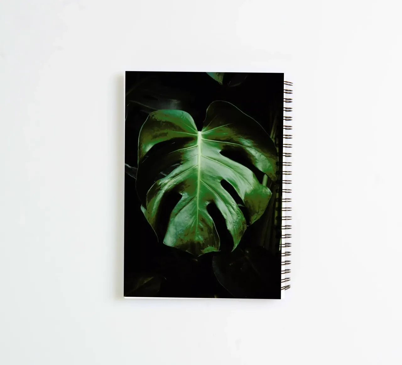 Hoja de Monstera cuaderno de espiral de Ingrid Beddoes