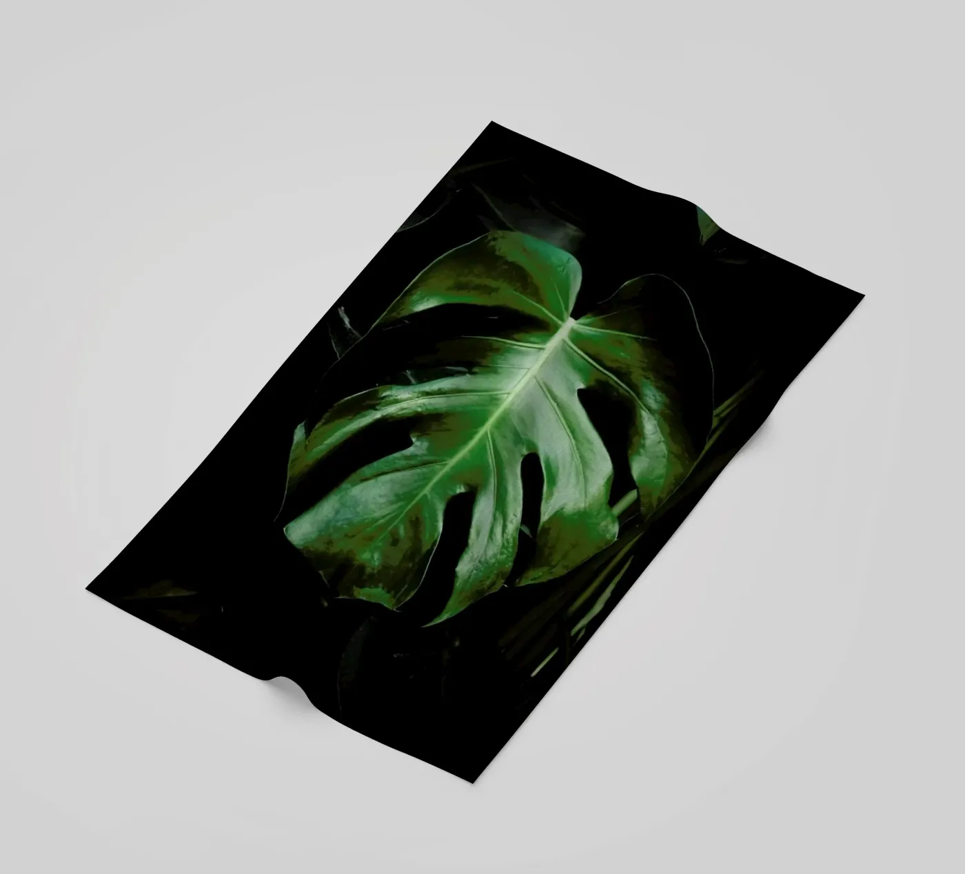 Monstera Leaf beach towel by Ingrid Beddoes