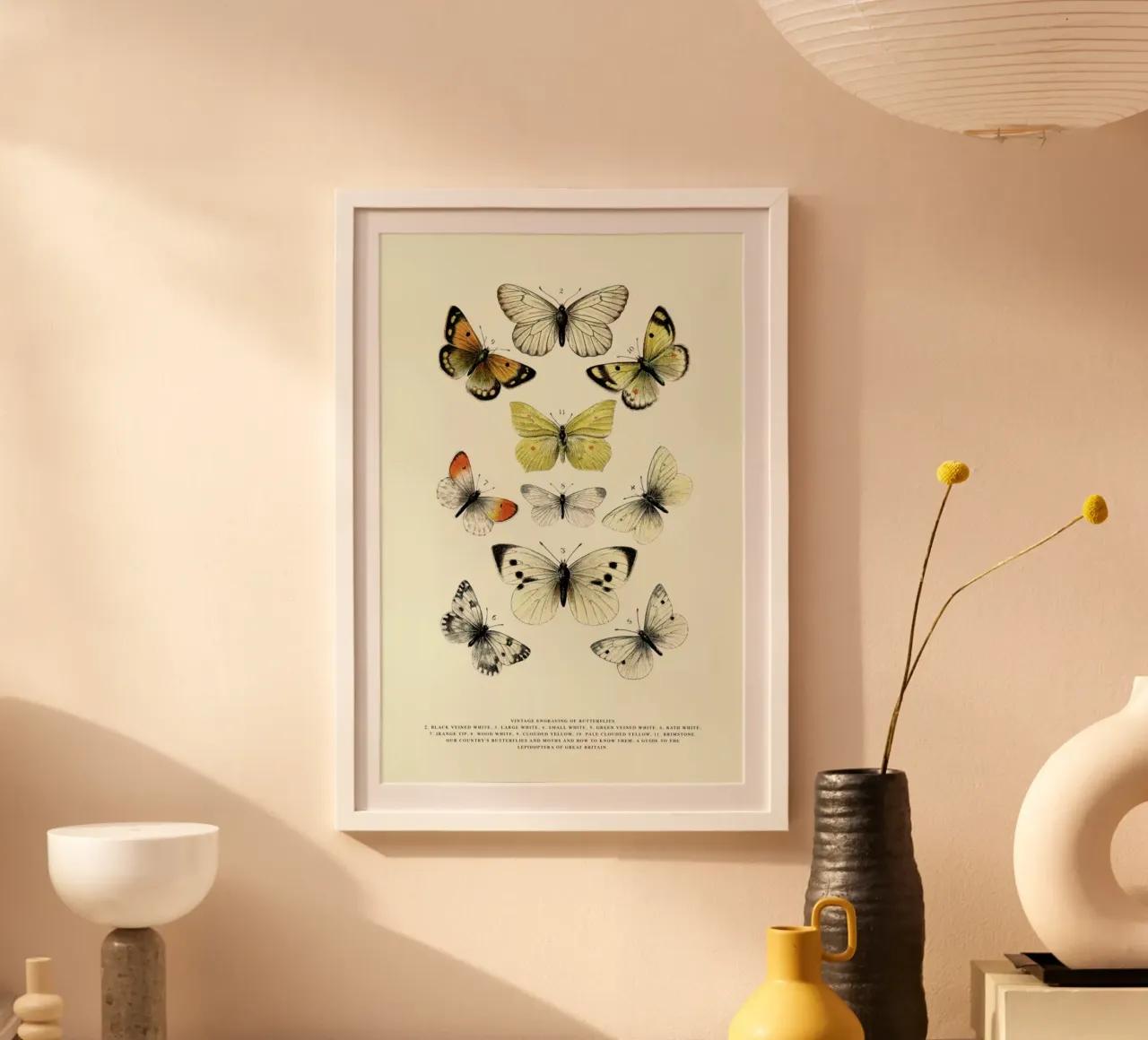 Vintage Butterflies poster con telaio in legno da Vintage by JUNIQE