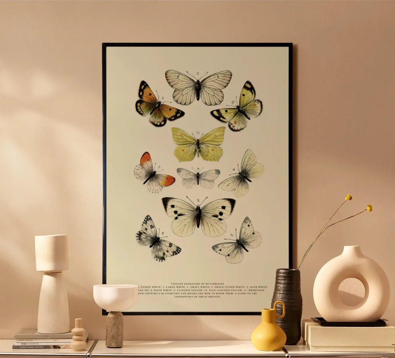 Vintage Butterflies poster con telaio in legno da Vintage by JUNIQE