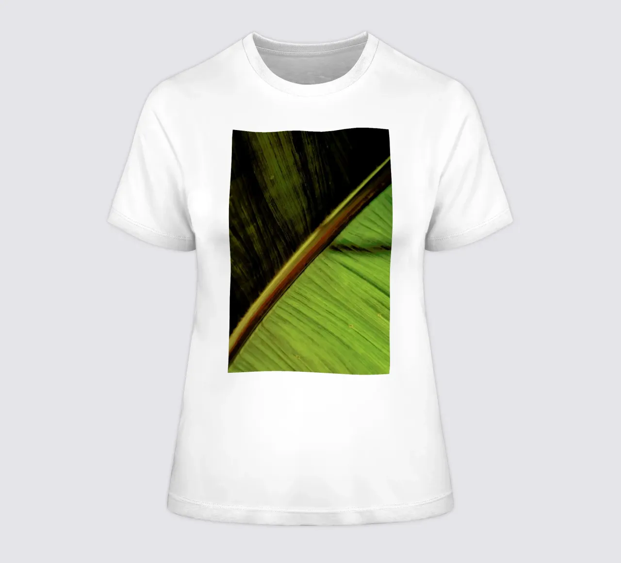 Sun Hit women's fitted t-shirt by Flora & Fauna