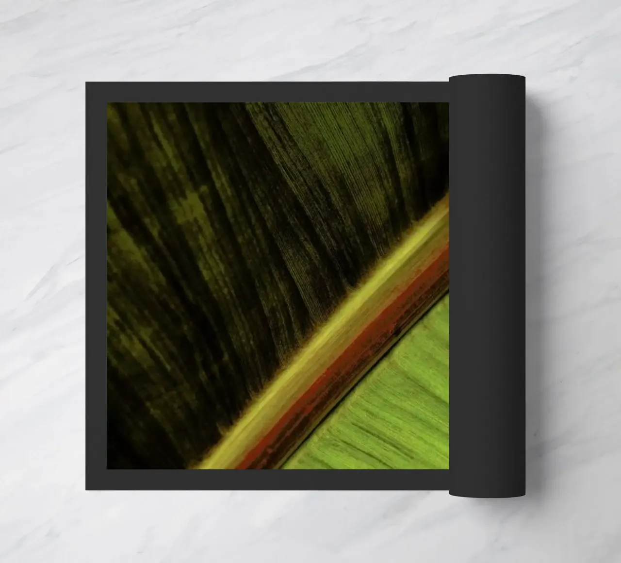 Sun Hit zerbino da Flora & Fauna