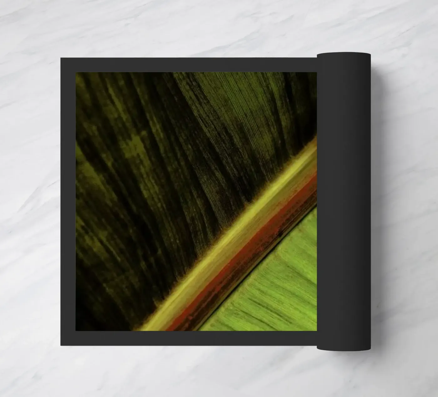 Sun Hit zerbino da Flora & Fauna