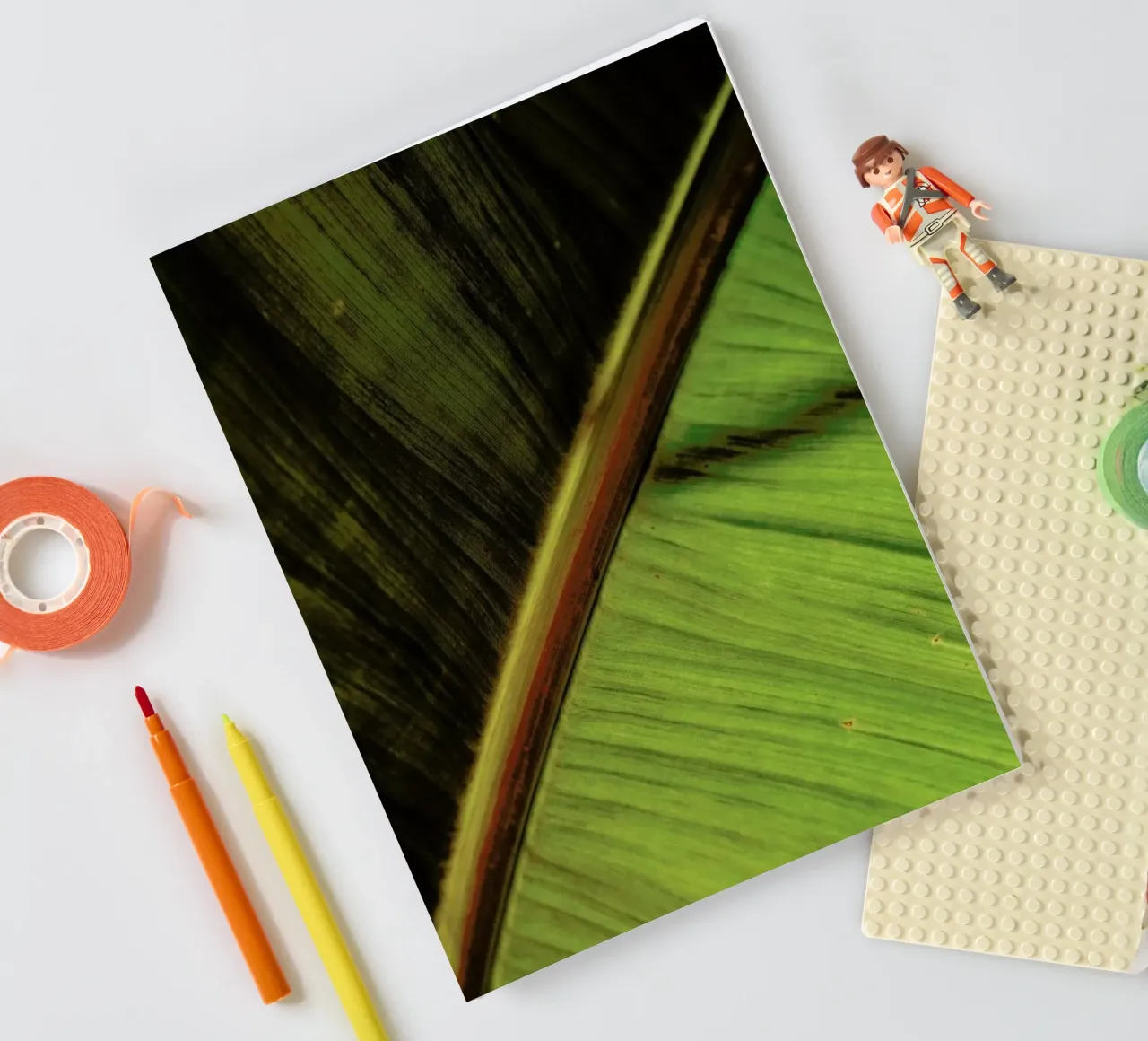 Sun Hit notebook by Flora & Fauna