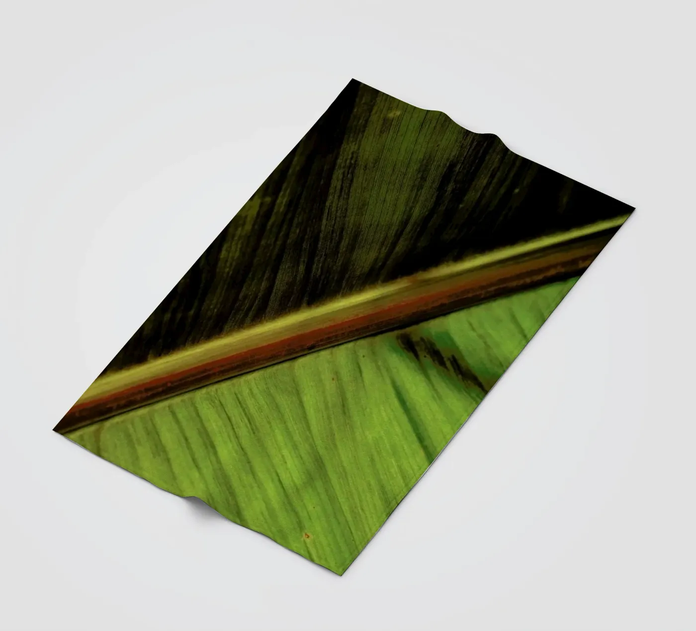 Sun Hit fleecedeken van Flora & Fauna