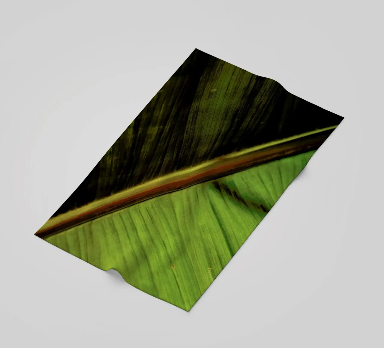 Sun Hit telo mare da Flora & Fauna