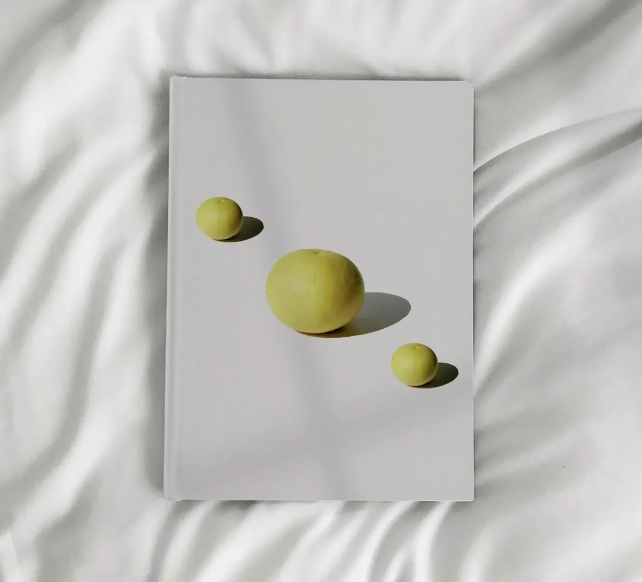 Grapefuit Family notebook by George Griefy