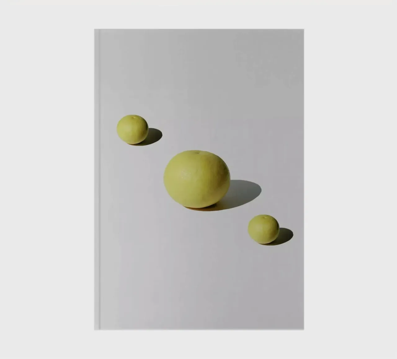 Grapefuit Family notebook by George Griefy