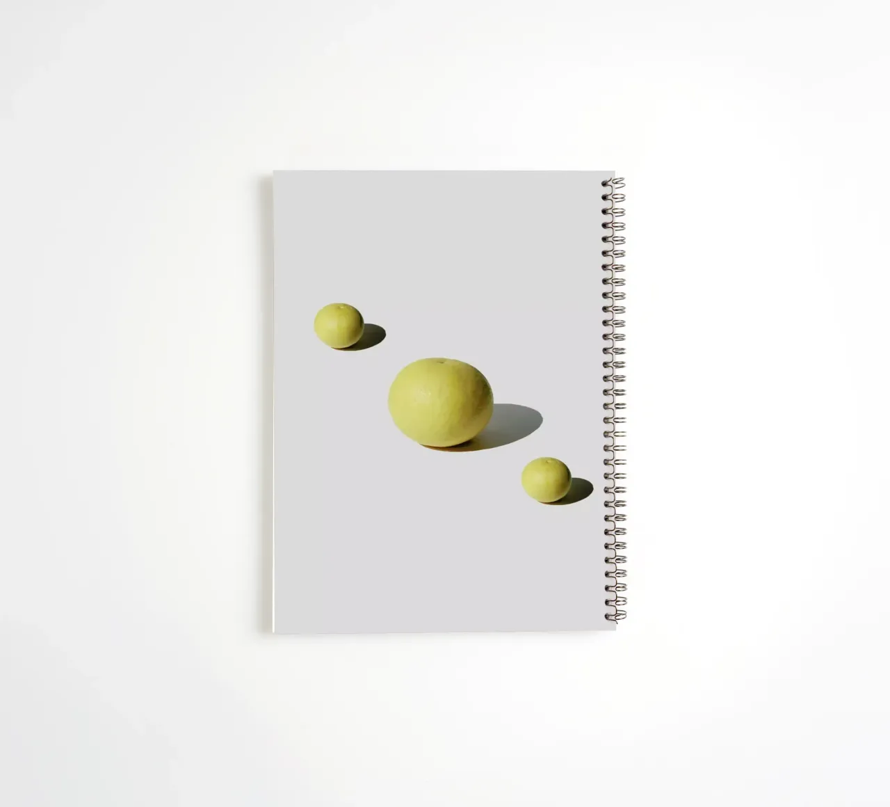 Grapefuit Family carnet à spirale de George Griefy
