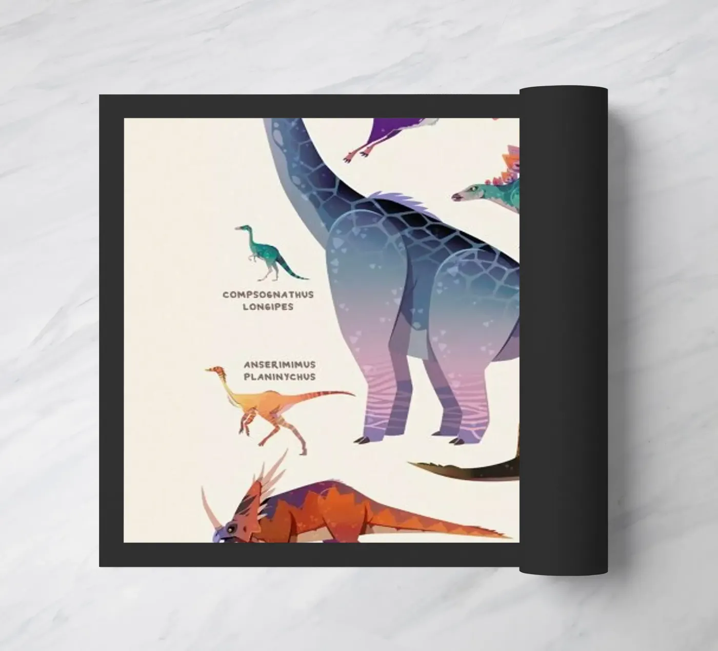 Dinosaur Names zerbino da Little Flourishes