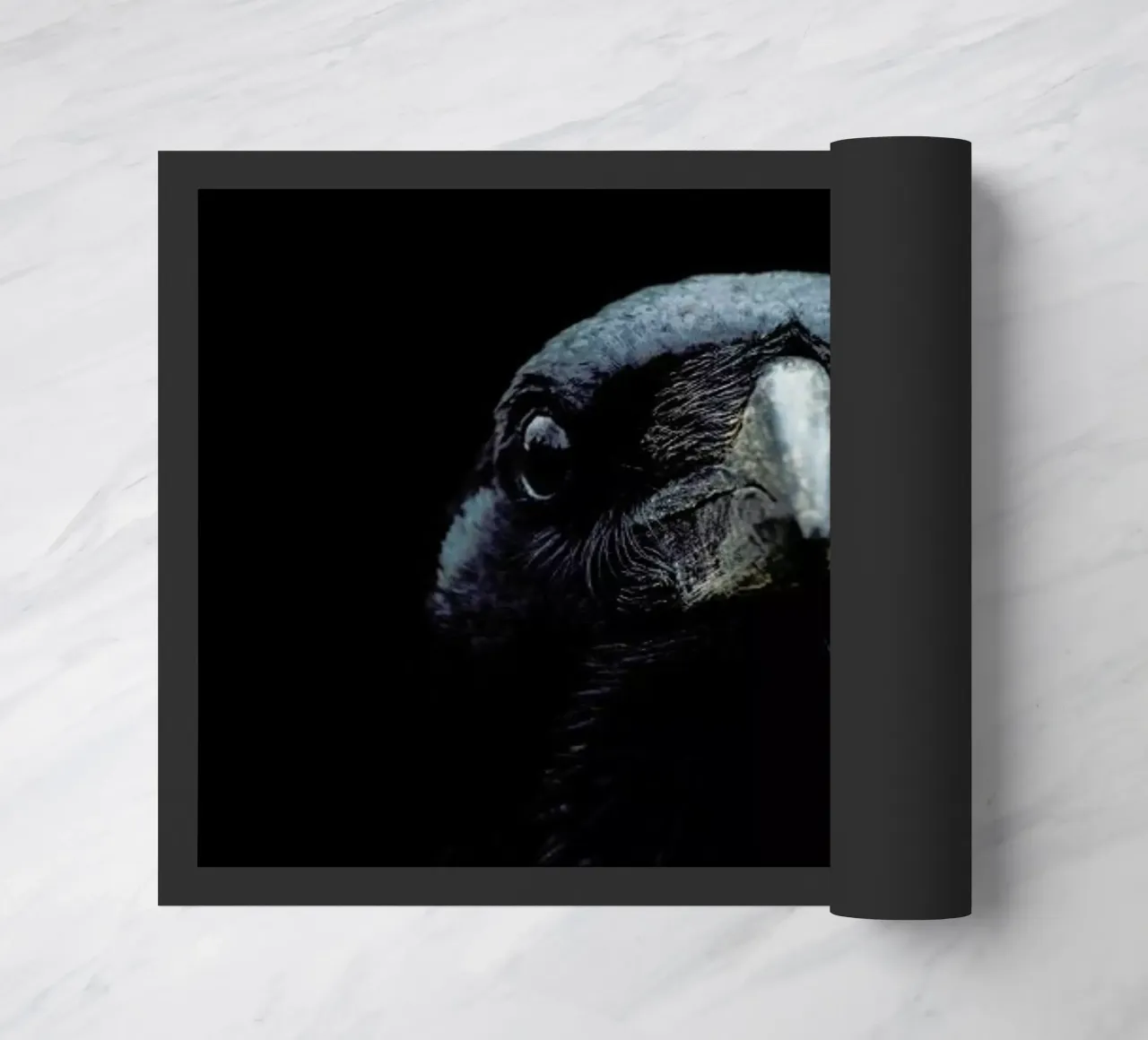 Il corvo zerbino da Ingrid Beddoes