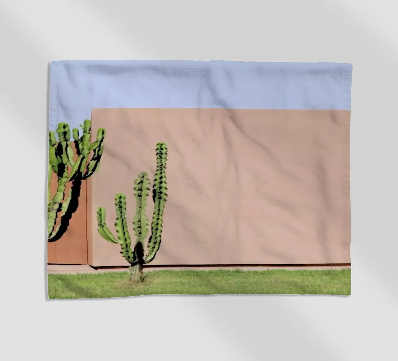 Cactus Brothers telo mare da Rupert Höller