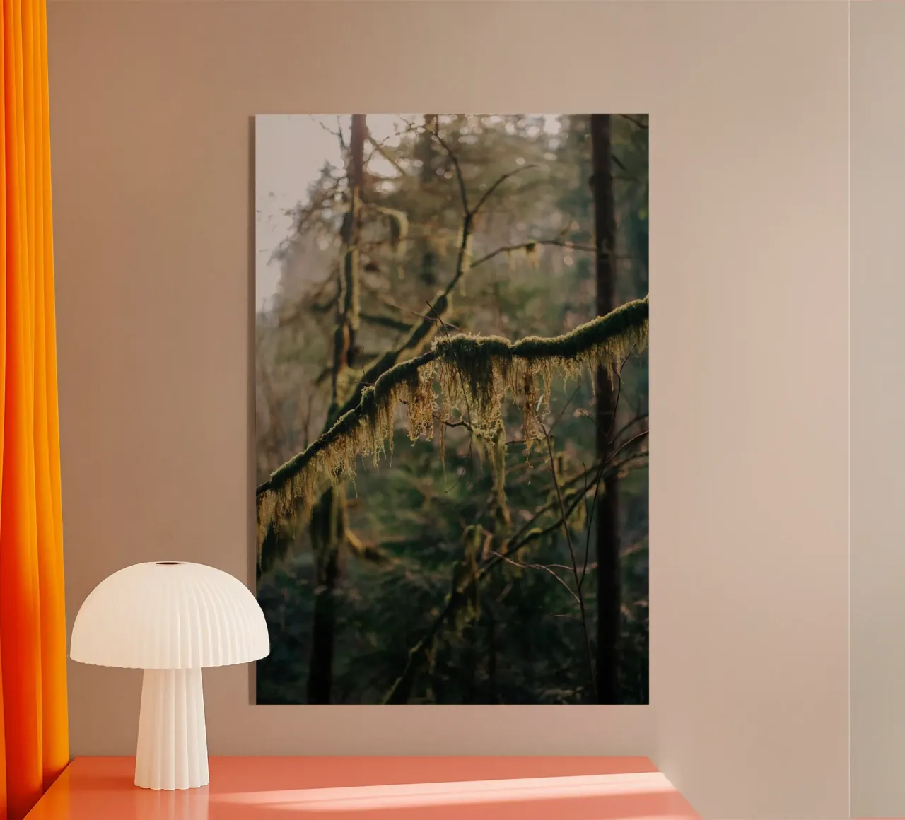 Hanging Moss plexiglass da wowhannahphotos