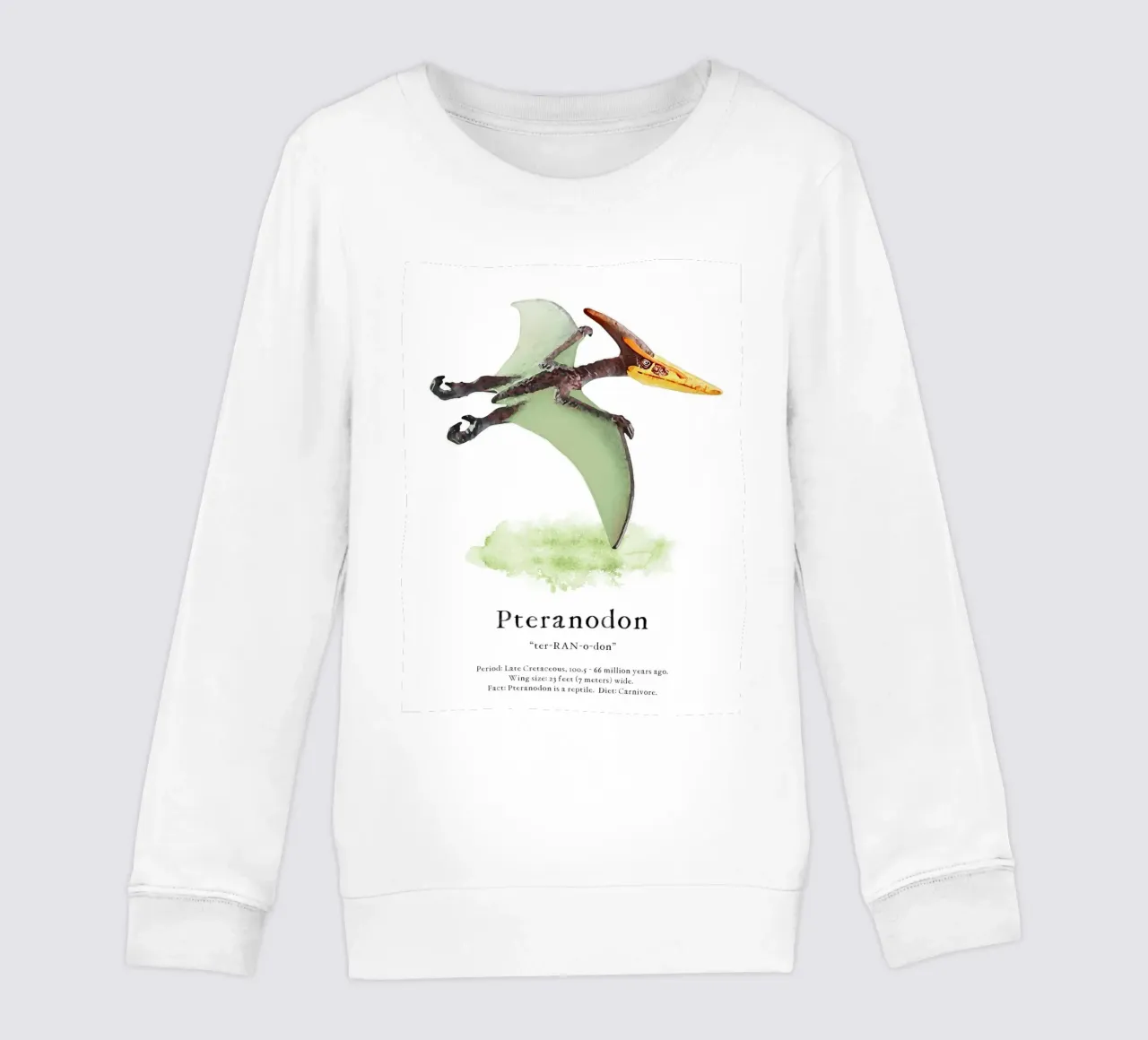 Pteranodon felpa bambino da Lila x Lola
