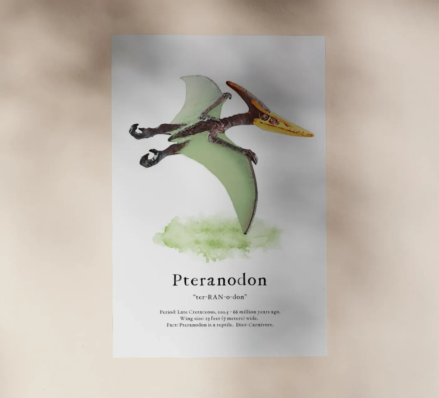Pteranodon backlit folie van Lila & Lola