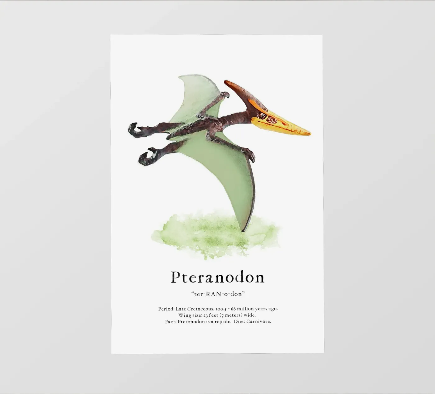 Pteranodon backlit folie van Lila & Lola