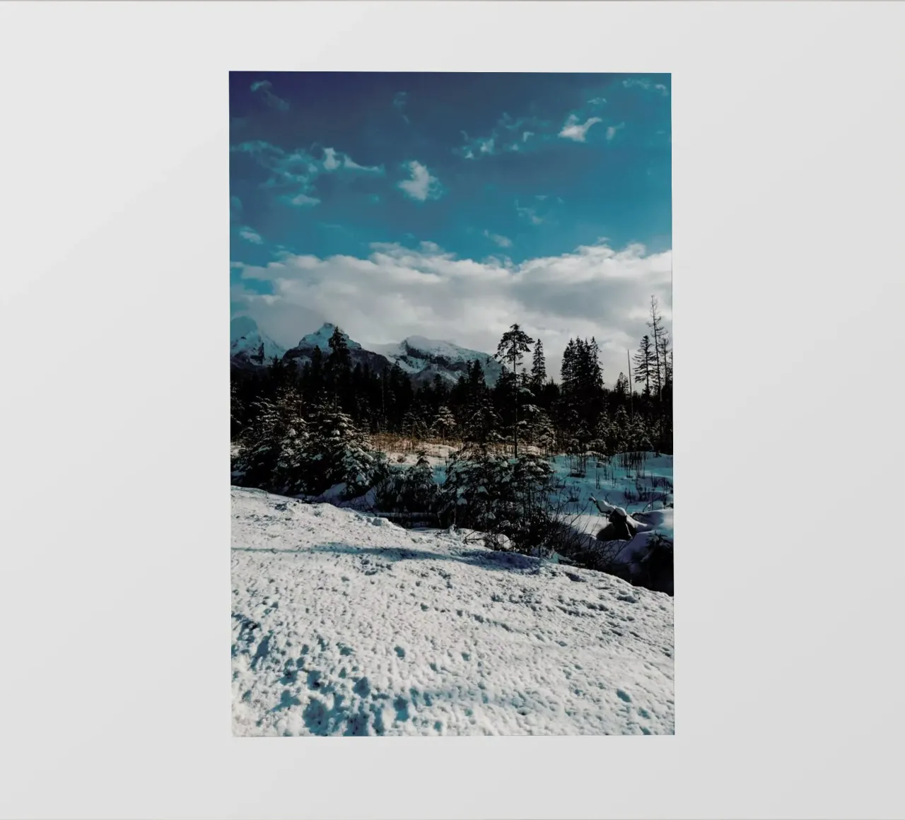 Mountains And Trees telo in pvc da Sebastian Hilgetag
