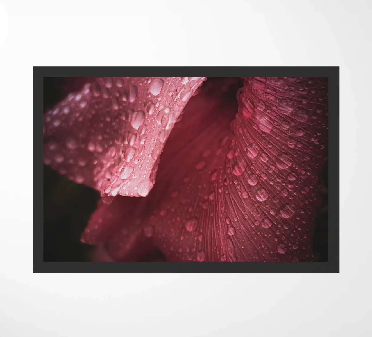 Mauve Waterdrops doormat by flowers.and.delight