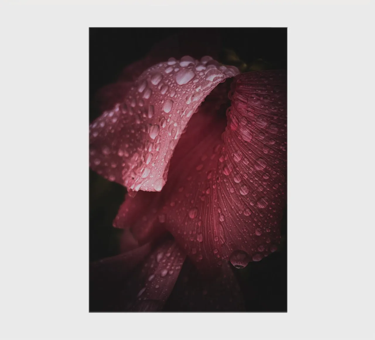 Mauve Waterdrops notebook by flowers.and.delight