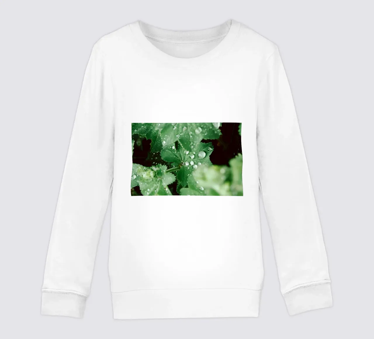 Lady's Mantle with Waterdrops felpa bambino da flowers.and.delight