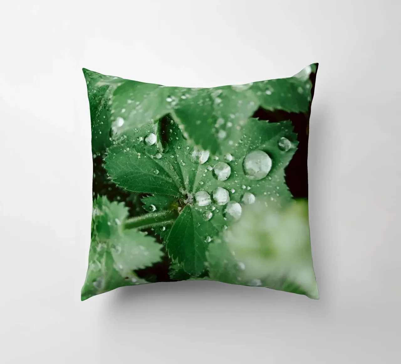 Lady's Mantle with Waterdrops cuscino da flowers.and.delight
