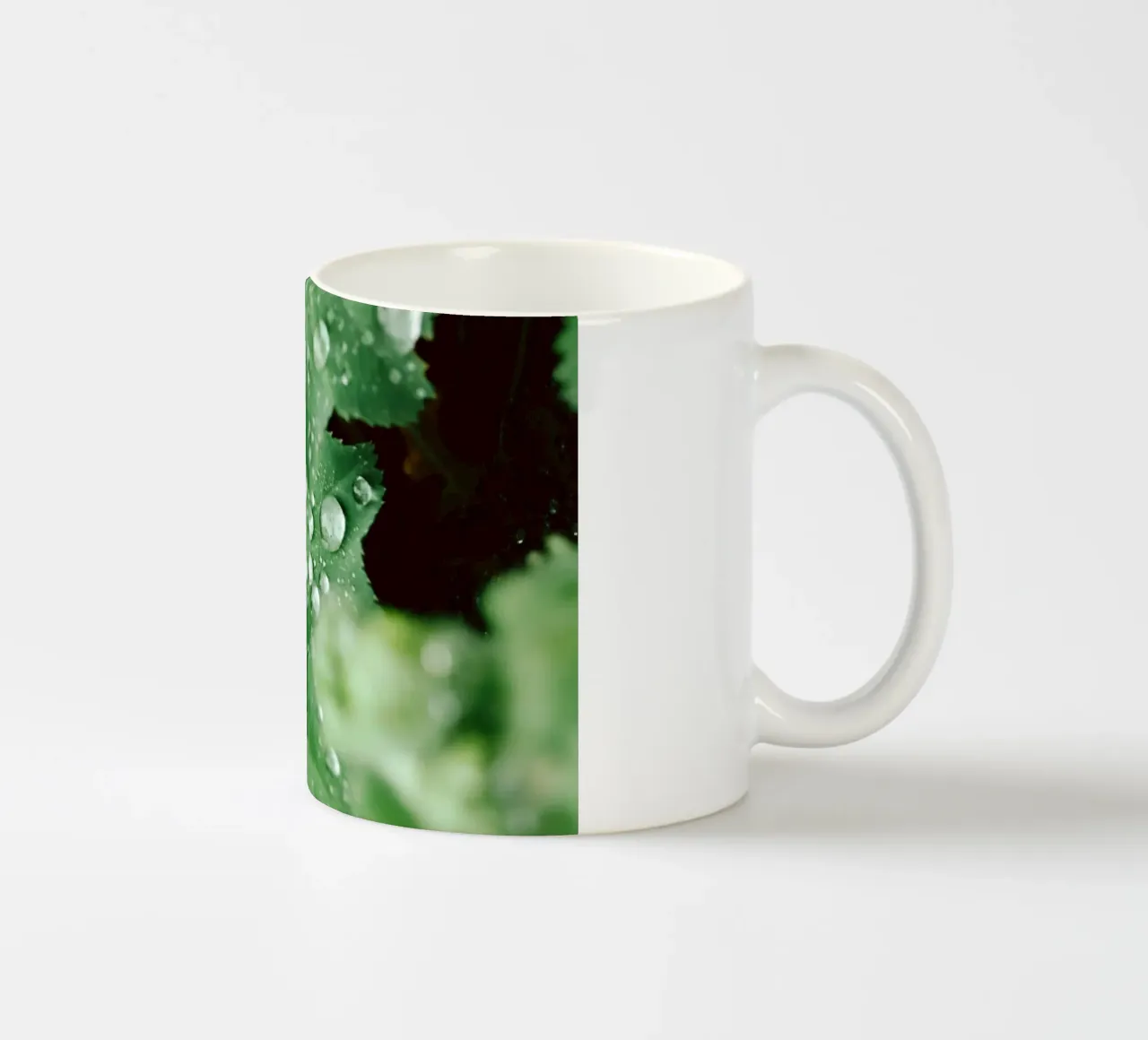 Lady's Mantle with Waterdrops tazza in ceramica da flowers.and.delight