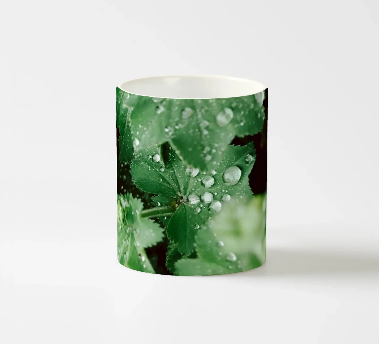 Lady's Mantle with Waterdrops tazza in ceramica da flowers.and.delight