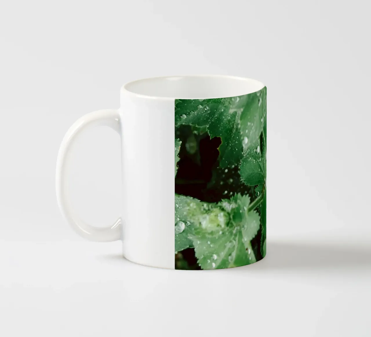 Lady's Mantle with Waterdrops tazza in ceramica da flowers.and.delight