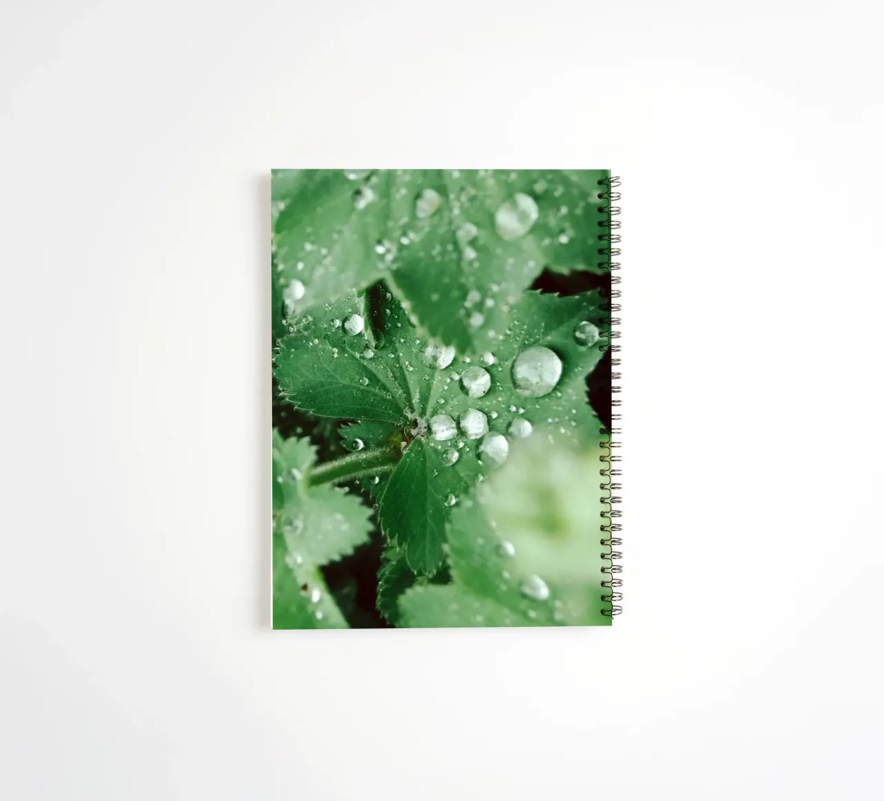 Lady's Mantle with Waterdrops spiral notebook by flowers.and.delight