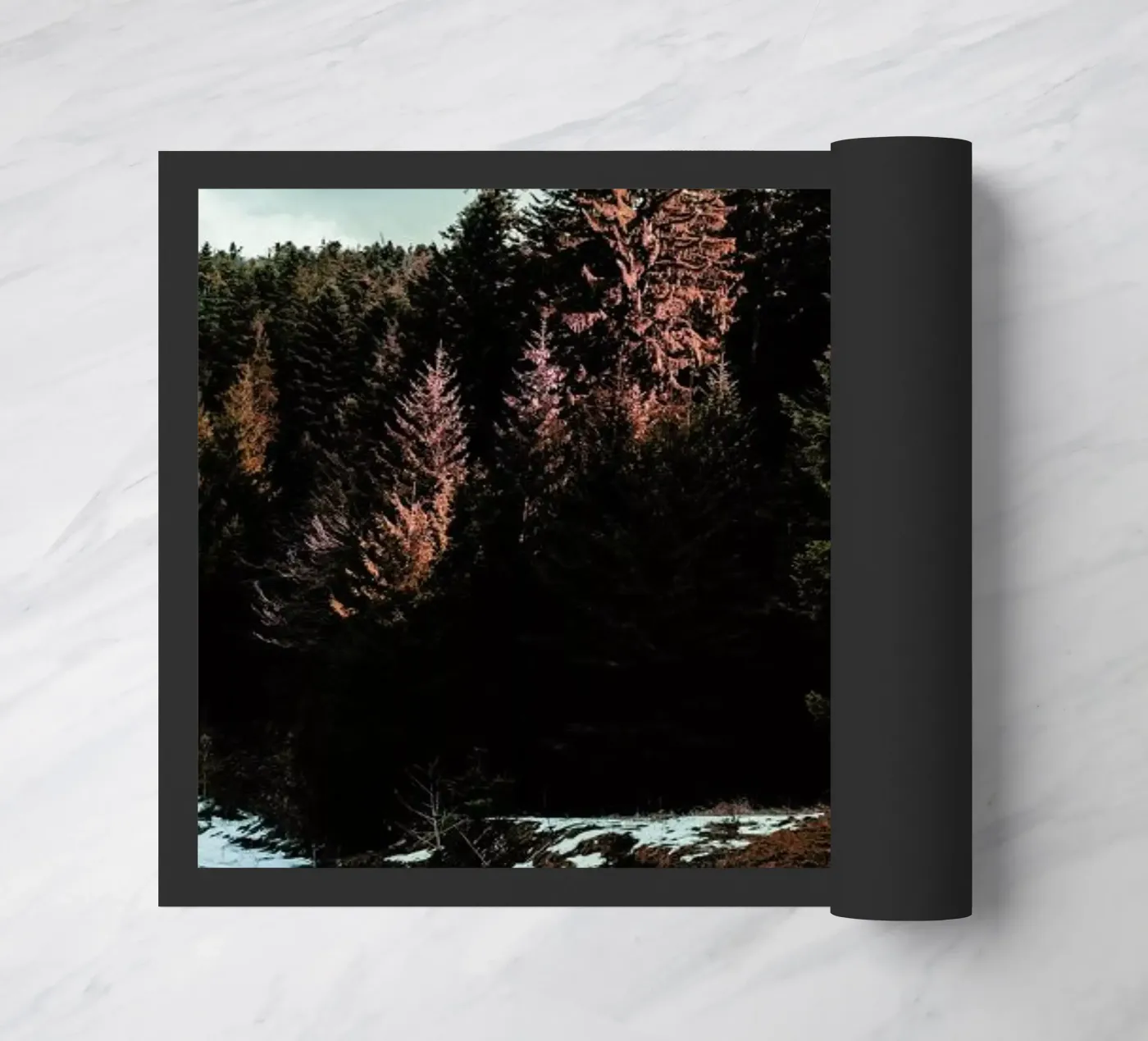 River By The Forest zerbino da Sebastian Hilgetag