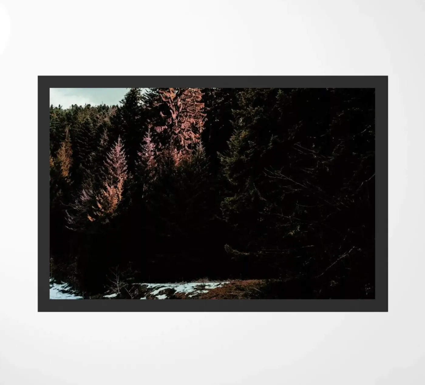 River By The Forest zerbino da Sebastian Hilgetag