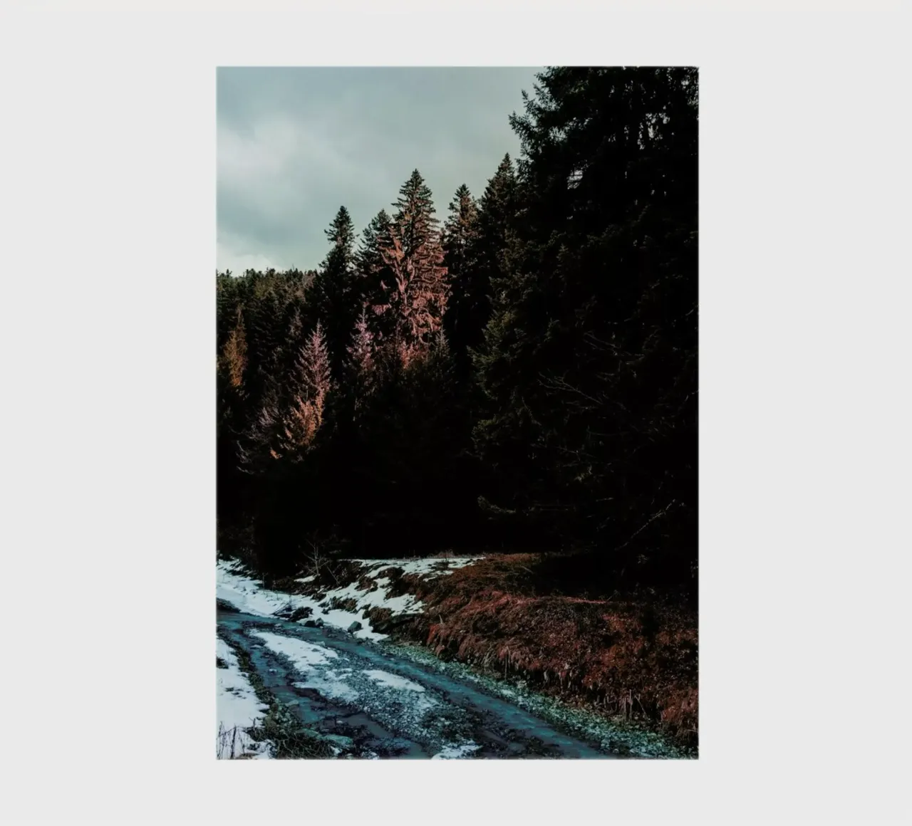 River By The Forest notebook by Sebastian Hilgetag