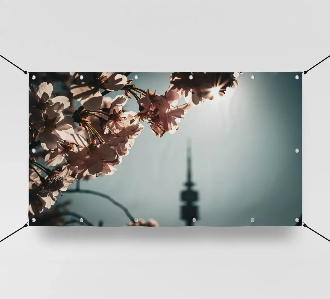 Kirschblüten telo in pvc da Jonas Klein