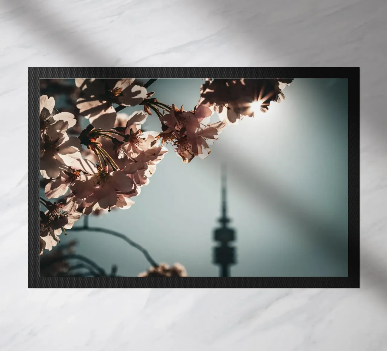 Kirschblüten zerbino da Jonas Klein