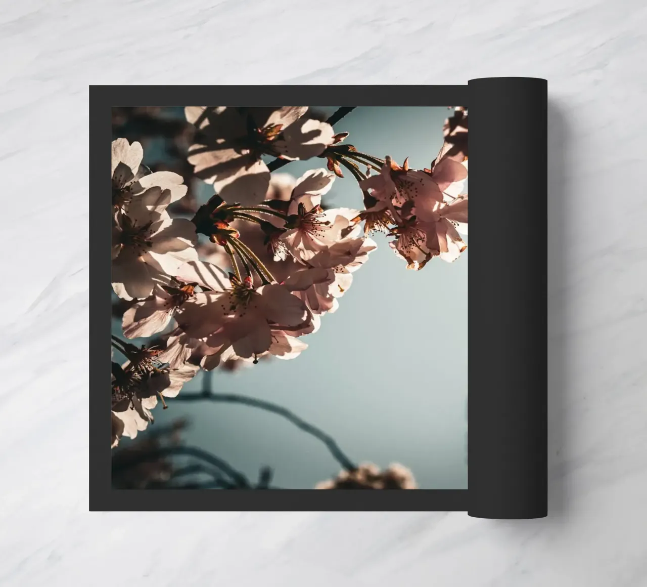 Kirschblüten zerbino da Jonas Klein
