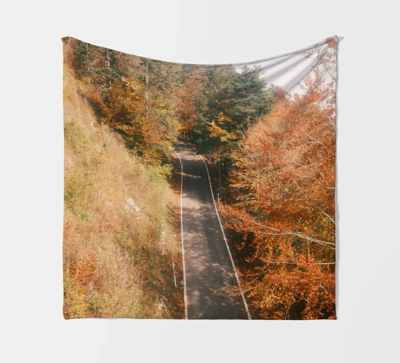 Autumn Road Through the Forest coperta in pile da FujiSwiss