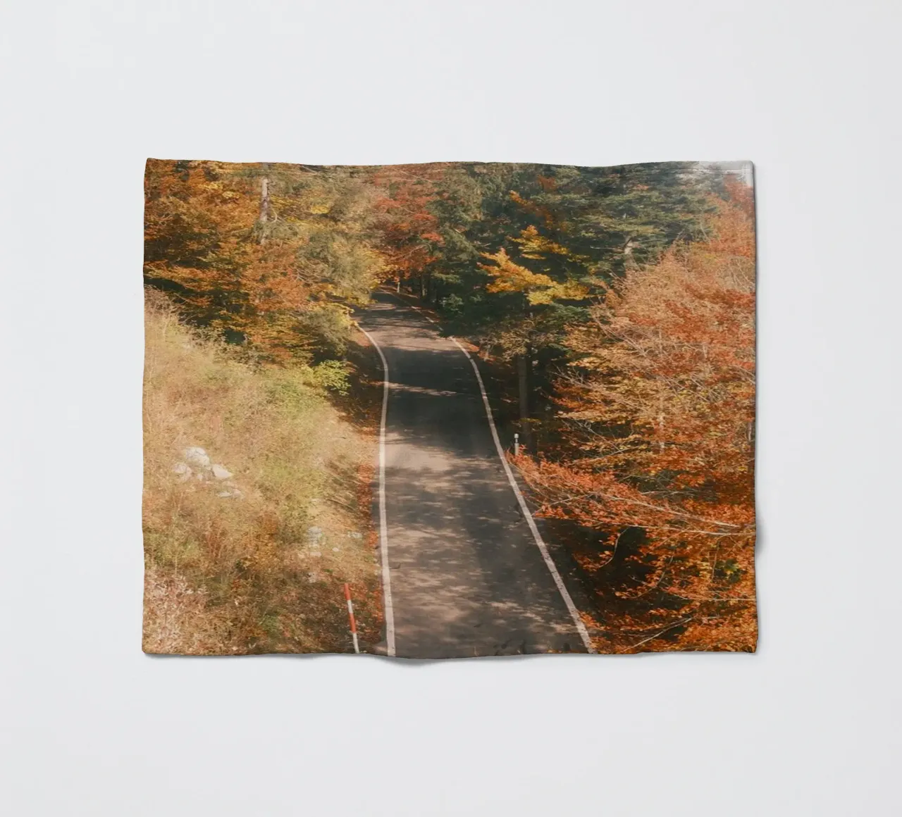 Autumn Road Through the Forest coperta in pile da FujiSwiss