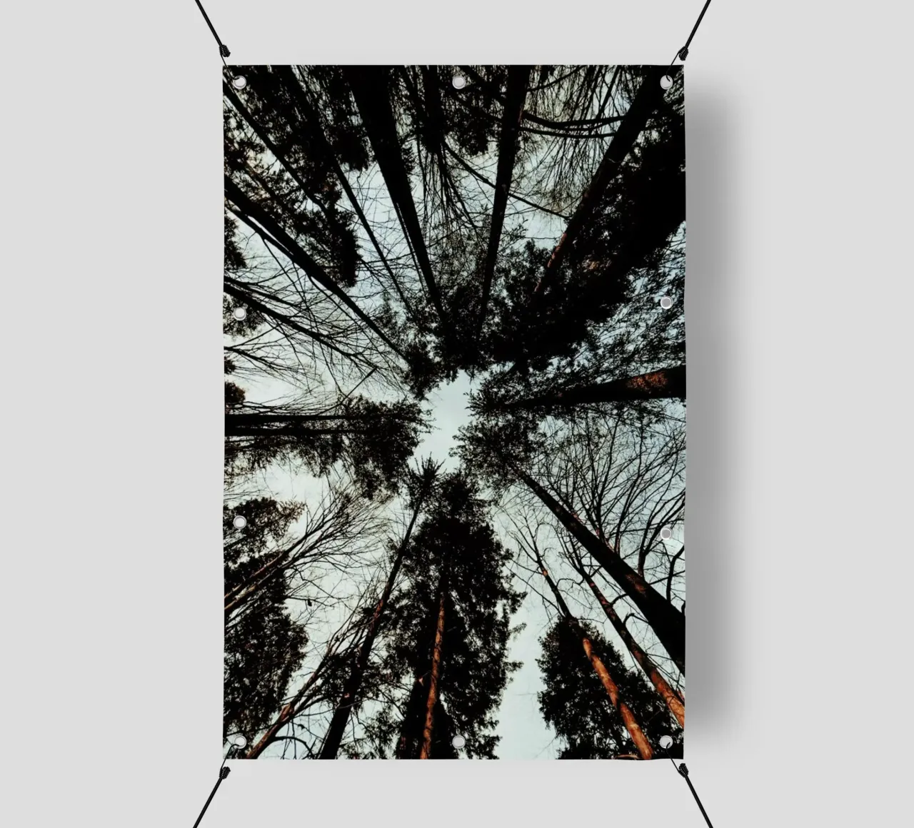 Look Up telo in pvc da Sebastian Hilgetag