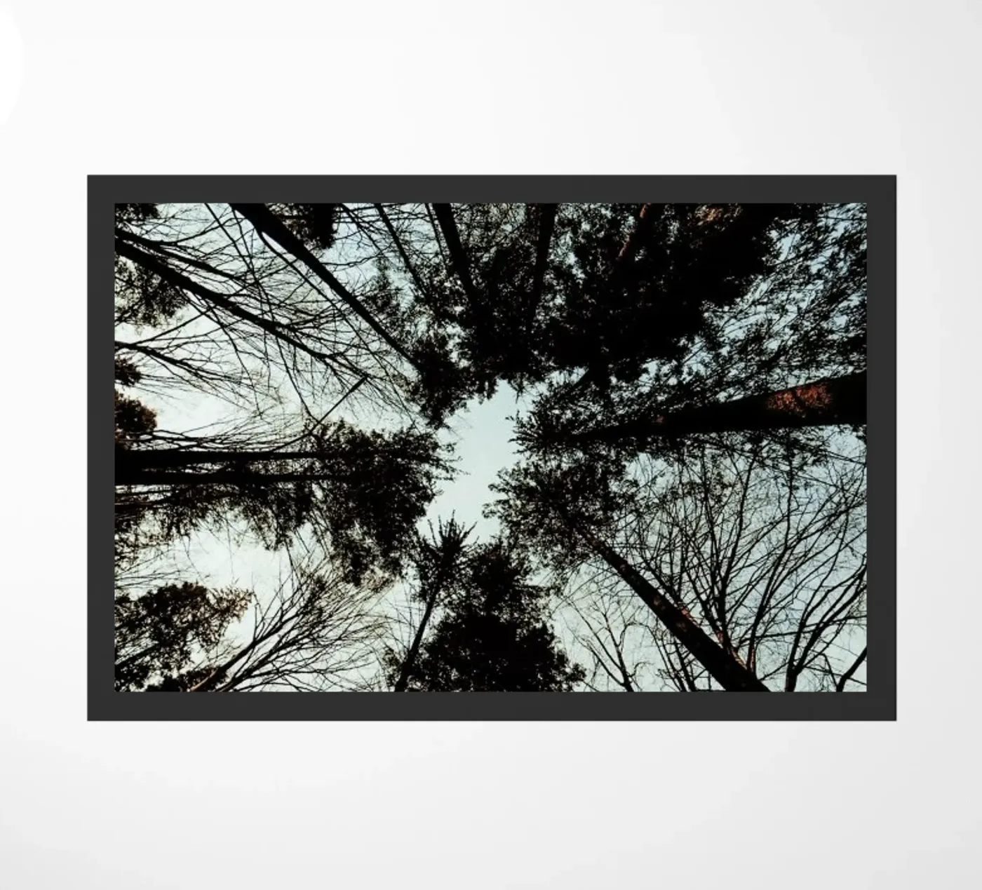 Look Up Fußmatte von Sebastian Hilgetag