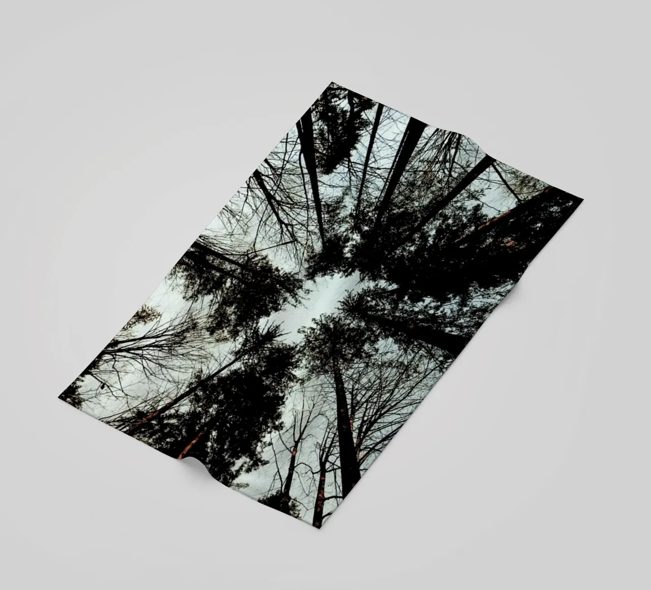 Look Up telo mare da Sebastian Hilgetag